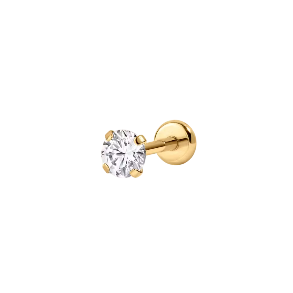 lip/nose stud